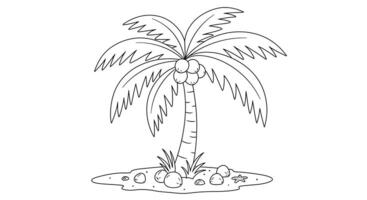 Palm Tree with Coconuts Beach Coloring Page vector