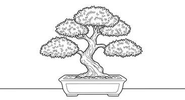 Elegant Bonsai Tree Outline Drawing in Pot for Relaxing Coloring Activity vector
