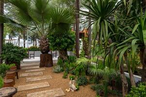 Beautiful outdoor garden featuring pathway with stone steps and rustic wooden seating surrounded by lush tropical plants and palm trees creating peaceful atmosphere photo