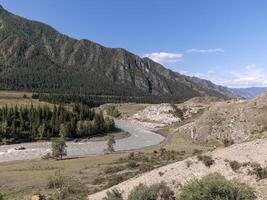 Big Katun River in the forests of the Altai Mountains flows among trees. photo