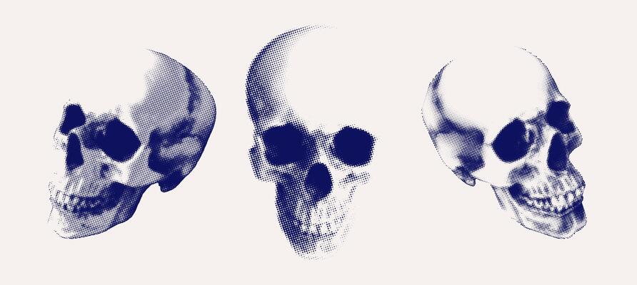 Retro Halftone Skulls Isolated