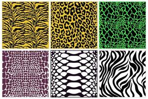 Seamless Repeated Animal Skin Patterns Set with Tiger Leopard Snake and Zebra Textures in Bold Vibrant Colours vector