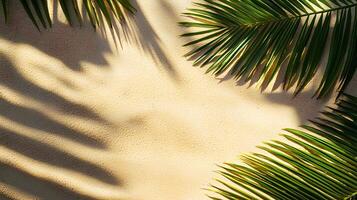 Sunlight filtering through palm leaves creates intricate shadows on sandy beach surface during midday photo