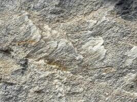 Close-up of natural limestone texture with white mineral veins photo