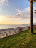 Tranquil Beach Scene with Sunset Glow, Palm Trees, and Coastal Serenity photo
