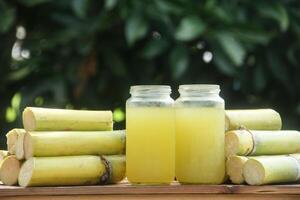 A drink made from squeezed yellow sugar cane juice or Saccharum officinarum L which is part of the Poaceae family, a drink made from squeezed sugar cane juice which is neatly arranged photo