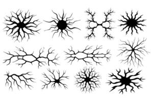 Neuron Silhouette Set Abstract Brain Cells, Nerve Networks, and Dendrite Illustrations vector
