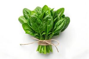 Fresh spinach leaves elegantly bundled with rustic twine sit on a plain background photo