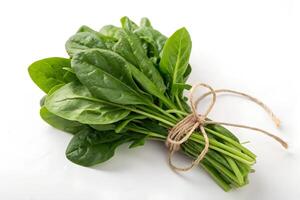 Fresh spinach bunch tied with twine rests on a clean white surface creating a natural image photo