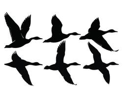 Set of Black Duck Silhouettes in Flight vector