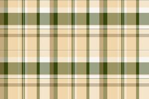 Carpet plaid pattern, father tartan textile seamless. Invitation fabric check texture background in light and white colors. vector