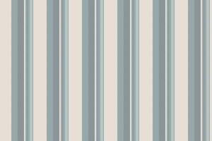 Jhinese new year background vertical stripe, african pattern lines textile. Vug fabric seamless texture in white and cyan colors. vector