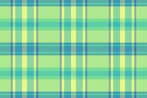 Long tartan check, traditional plaid textile texture. Dog tooth seamless background fabric pattern in lime and green colors. vector