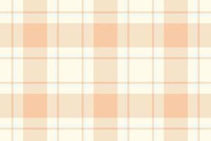 Soft peach and cream plaid pattern. Perfect for textile design, packaging, or website backgrounds. Evokes feelings of warmth, comfort, and gentle style. vector