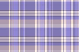 Mexican texture background pattern, occupation plaid tartan textile. Line fabric seamless check in indigo and light colors. vector