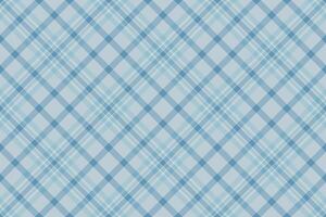 Subtle blue diagonal plaid pattern. Perfect for backgrounds, textile designs, or wrapping paper. Clean, elegant, and versatile, this image evokes a sense of calm and sophistication. vector