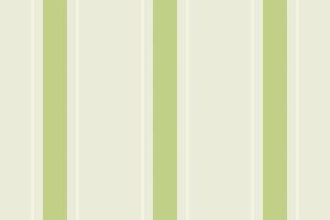 Ethnic fabric vertical background, cozy lines seamless stripe. Advertising textile texture pattern in light and lime colors. vector