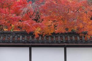 A building with a roof and a tree with red leaves photo