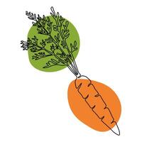Continuous one line drawing carrot. Black line art on white background with colorful spots. Cartoon carrot isolated on white background. Vegan concept vector