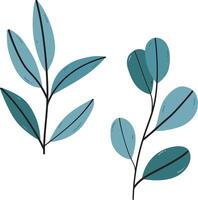 Hand drawn branch with leaves isolated on transparent vector