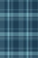 Thanksgiving textile tartan seamless, female pattern plaid check. Down texture background fabric in cyan color. vector