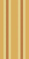 Revival fabric vertical, mexico lines stripe background. Book texture pattern textile seamless in amber and light colors. vector