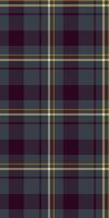 Deluxe check plaid texture, post fabric seamless textile. Royal background pattern tartan in dark and light colors. vector