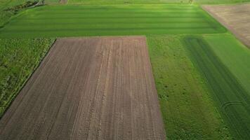 aerial drone footage over agricultural fields cultivated in spring video