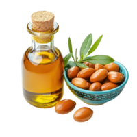 Argan nuts and oil bottle still life on transparent background png