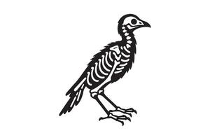 A skeleton bird is standing on its legs vector