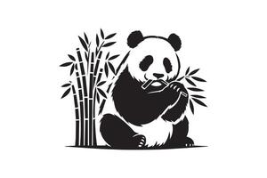Panda bear eating bamboo on a white background vector