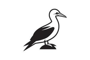 A black and white bird on a white background vector