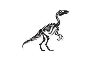 A dinosaur skeleton is shown in a black and white image vector