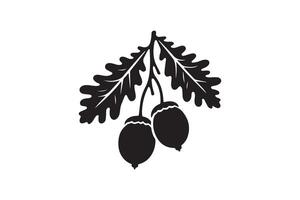 Black and white illustration of acorns on a branch vector