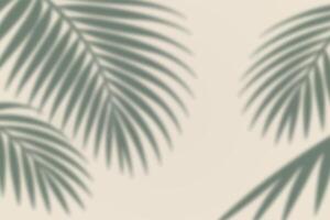Tropical palm leaf shadows over minimal beige soft backdrop vector