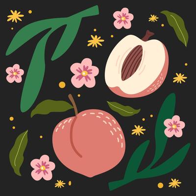 Abstract fruits poster in cartoon minimalist style. Modern fruits art prints, trendy doodle banners for wall decor, postcards. Juicy peach and flowers