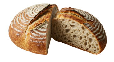 Fresh Bakery Bread Isolated Image for Branding Use png