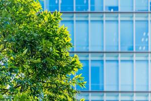 A clock is sitting on a tree in front of a building photo