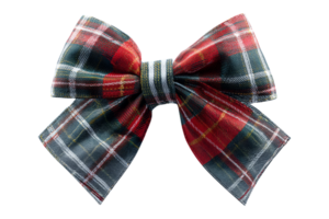 Holiday bow decoration indoor view png