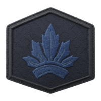 This shows hexagonal embroidered patch featuring stylized blue leaf design on transparency background. patch has textured appearance, suggesting it is made of fabric png