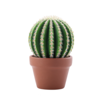 Round cactus with spines sits in simple terracotta pot, showcasing its vibrant green color and symmetrical shape. minimalist design adds touch of nature to any space png
