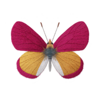 Vibrant, multicolored butterfly with pink, yellow, and white wings is displayed against plain background, showcasing intricate textures and patterns png