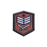 isto mostra militares estilo bordado fragmento apresentando estrela, listras, e cruzado espadas Castanho fundo. Projeto sugere classificação ou insígnia, frequentemente usava para identificação ou decoração uniformes png