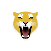 Fierce tiger head illustration with open mouth, showcasing sharp teeth and intense eyes, set against transparent background. bold colors and expressive features convey strength and power png