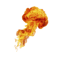 Fiery explosion with bright orange and yellow flames forms mushroom cloud shape against transparent background. intense heat and dynamic movement create dramatic and powerful visual effect png