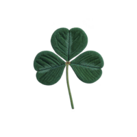 Detailed illustration of green three leaf clover with textured appearance, symbolizing luck and nature. clover is isolated transparency background, emphasizing its vibrant color and intricate png