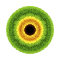 Vibrant, circular pattern resembling eye with concentric rings of green, yellow, and orange hues, creating striking and colorful design png