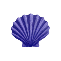 Vibrant blue seashell with intricate patterns and fan like shape, isolated on transparency background, showcasing its natural beauty and texture png