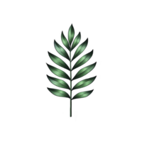 Single green leaf with symmetrical design, featuring multiple leaflets arranged along central stem, isolated on transparency background. leaf has glossy texture and vibrant color png
