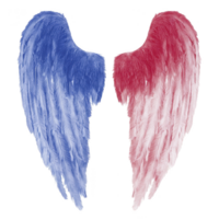 Two colorful feathered wings, one blue and one red, are depicted against transparency background, symbolizing contrast and harmony. vibrant colors and soft textures create striking visual effect png